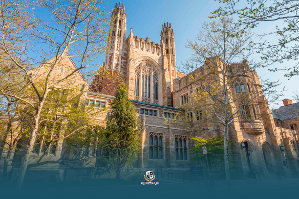 Amerika Yale Üniversitesi